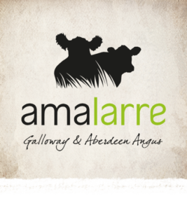 www.amalarre.bio